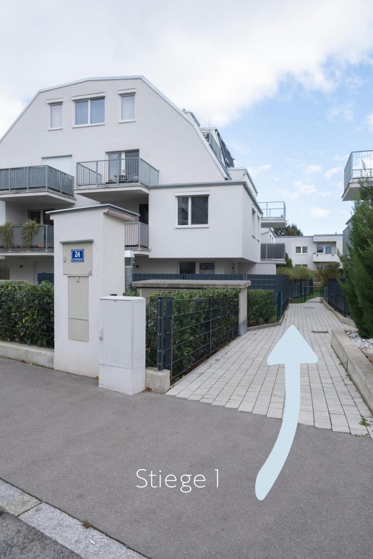 Modern Apartment With Garden Near City Center Вена Экстерьер фото